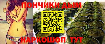 амф Донской
