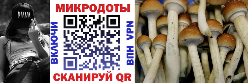 Галлюциногенные грибы MAGIC MUSHROOMS  продажа наркотиков  Салават 