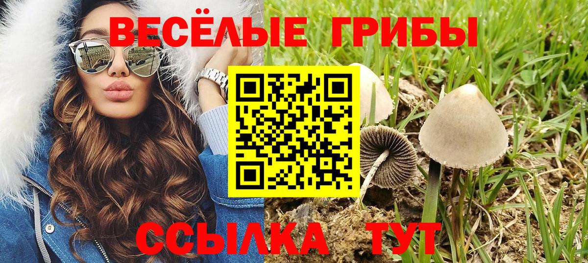 Галлюциногенные грибы Magic Shrooms Салават
