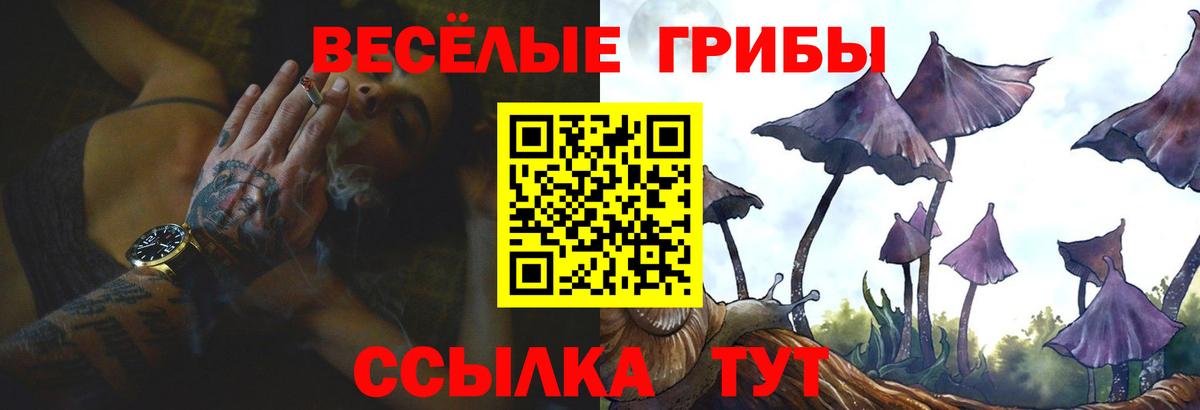 Галлюциногенные грибы GOLDEN TEACHER  Галлюциногенные грибы Cubensis  Салават  Вход с VPN 